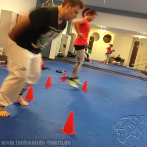 Funktionales Taekwondo Training der Taekwondo Tigers Berlin in Reinickendorf